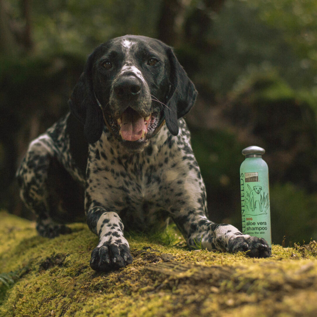 Hondenshampoo Aloë Vera - Afbeelding 3
