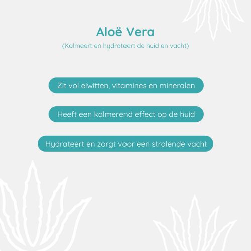 Hondenshampoo Aloë Vera - Afbeelding 6