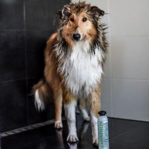 Alternative view of Hondenshampoo Colourful Coat