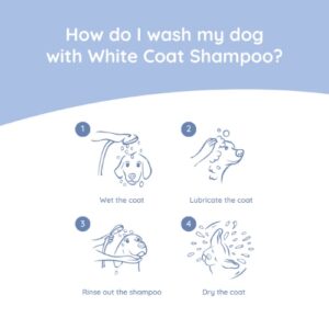 Alternative view of Hondenshampoo White Coat