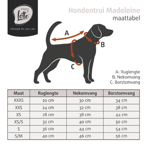 Hondentrui Madeleine - Afbeelding 13