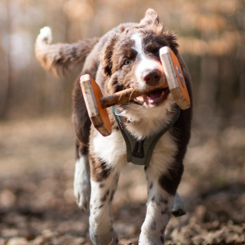 Houten Dumbbell - Afbeelding 11
