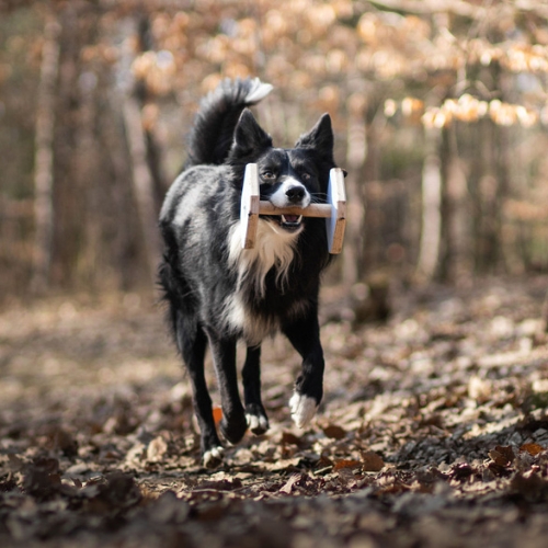 Houten Dumbbell - Afbeelding 12