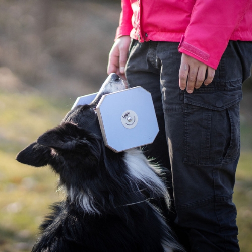 Houten Dumbbell - Afbeelding 13