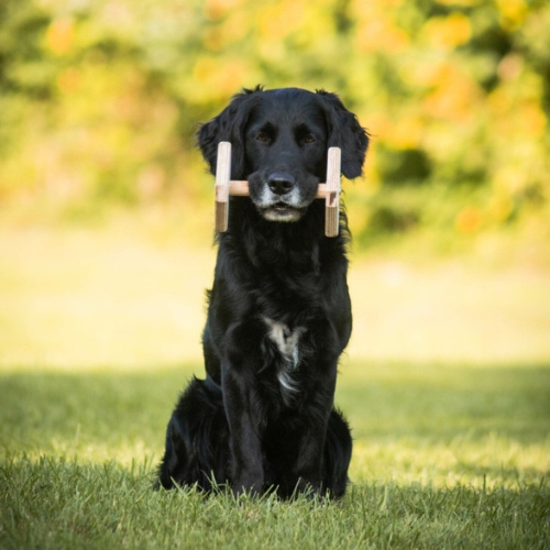 Houten Dumbbell - Afbeelding 6