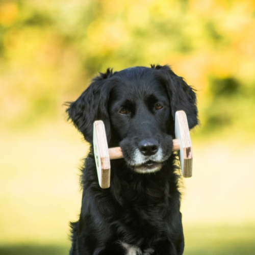 Houten Dumbbell - Afbeelding 7