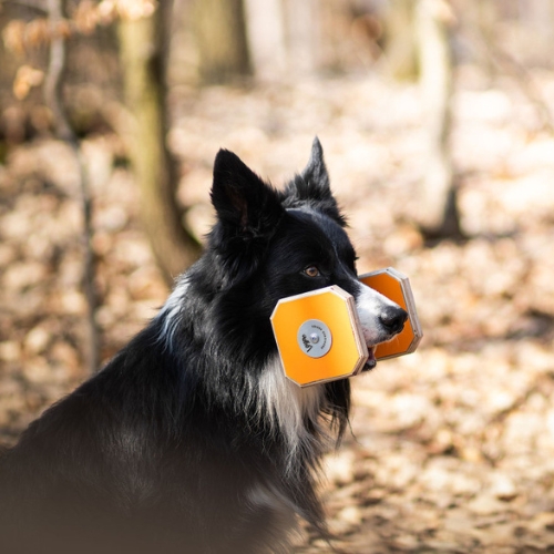 Houten Dumbbell - Afbeelding 10