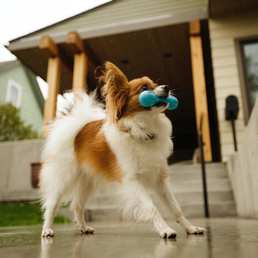 Hurley - Afbeelding 10