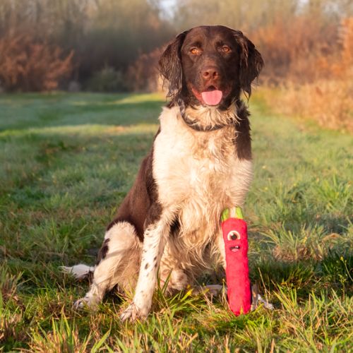 Invaders - Werpstok - Afbeelding 2