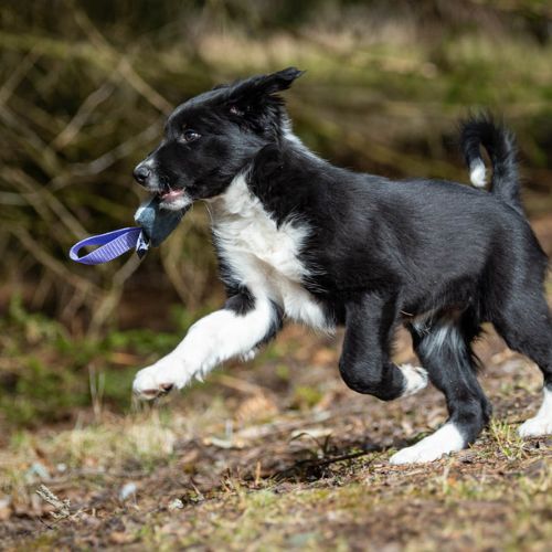 IttyBitty Square - Afbeelding 4