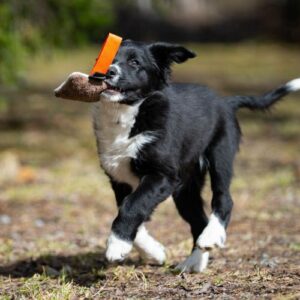 Alternative view of IttyBitty Square