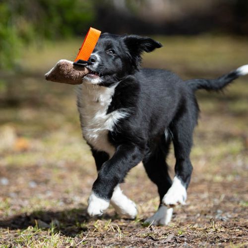 IttyBitty Square - Afbeelding 2