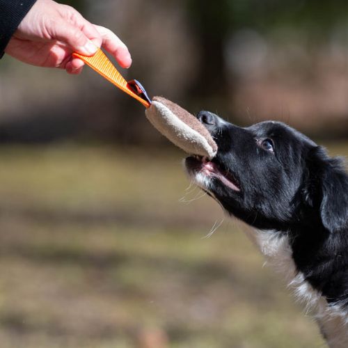 IttyBitty Square - Afbeelding 3