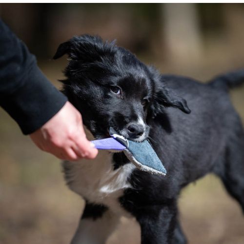 IttyBitty Square - Afbeelding 5