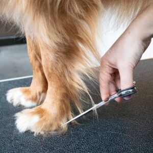 Alternative view of Japandi Verzorgingsschaar