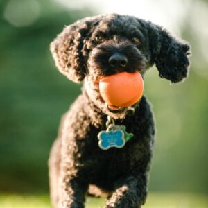 Alternative view of Jive