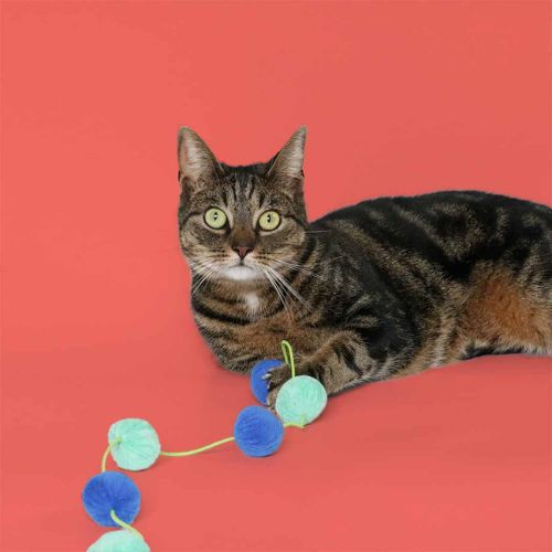 Jolly Jumper - Afbeelding 8