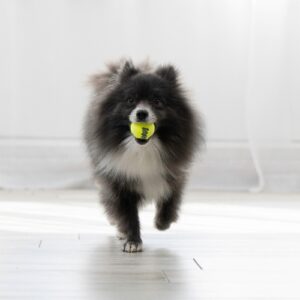 Alternative view of KONG Air Squeaker Tennis Ball