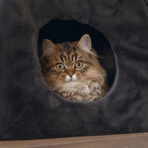 Kattenhuis Moza
