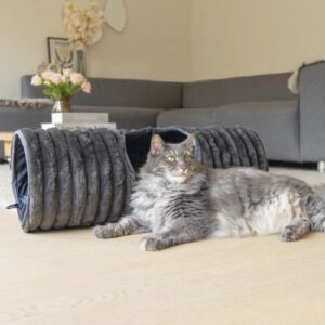 Kattentunnel Reza Antraciet