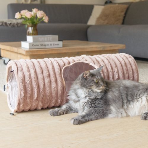 Kattentunnel Reza Roze