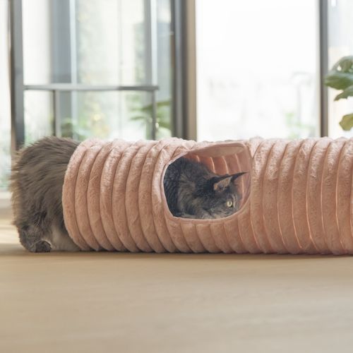 Kattentunnel Reza Roze