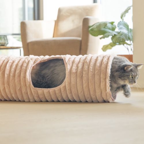 Kattentunnel Reza Roze