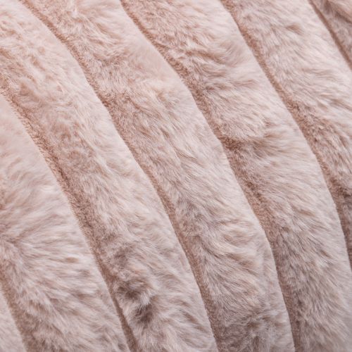 Kattentunnel Reza Roze