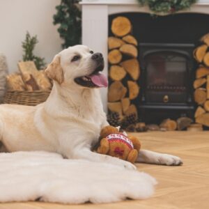 Alternative view of Kerstkalkoen