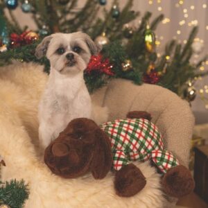 Alternative view of Kerstknuffel XL Arrow