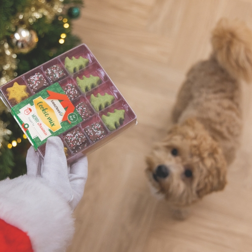 Kerstkoekjes Mix - Afbeelding 4
