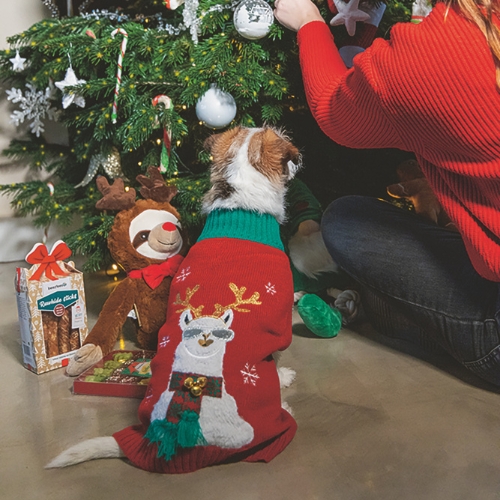 Kerstkoekjes Mix - Afbeelding 5