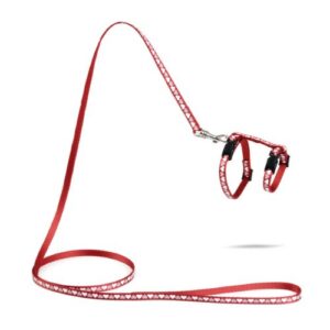 Kittentuig Heart Rood