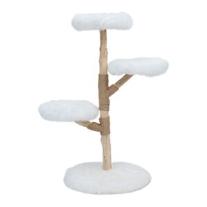 Klimboom Fagus White