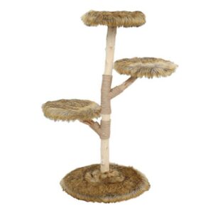 Klimboom Fagus Grizzly Brown