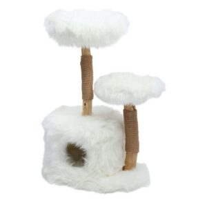 Klimboom Sorbus White