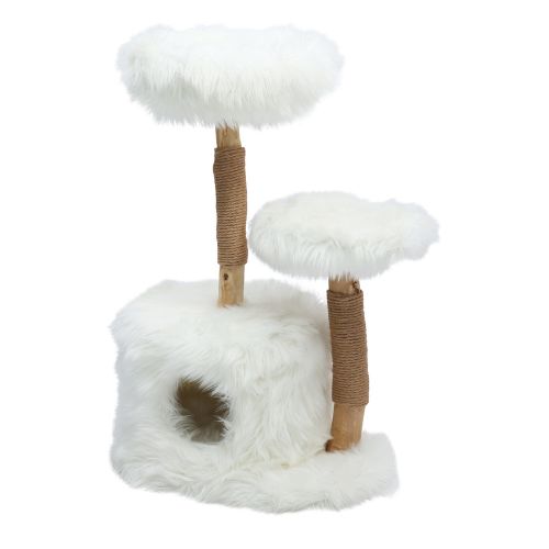 Klimboom Sorbus White