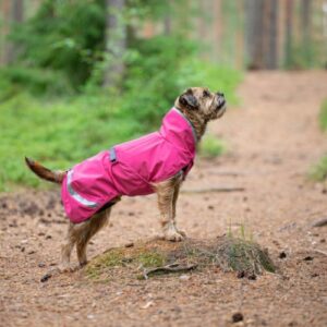 Alternative view of KuoriPomppa - Regenjas