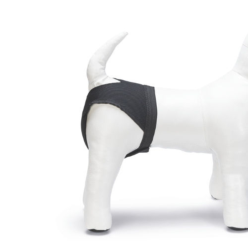 Loopsheidbroekje - Afbeelding 7