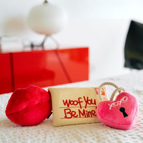 Smoochy Poochy - Afbeelding 6