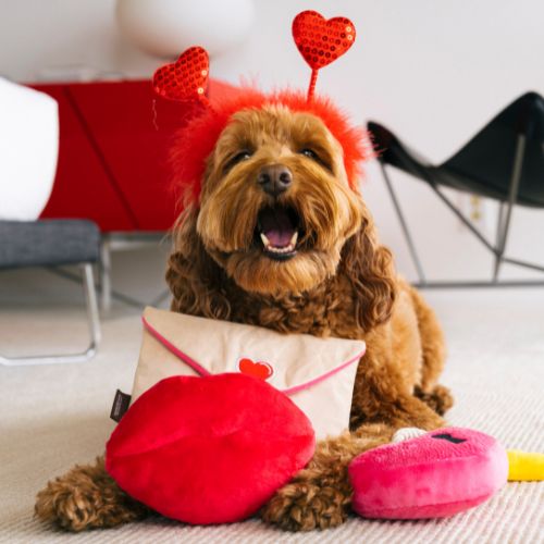 Smoochy Poochy - Afbeelding 7