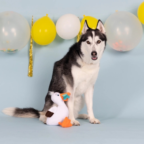 Lunch Break - Afbeelding 3