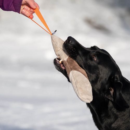 Mighty Tug Toy - Afbeelding 6