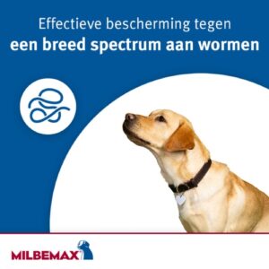 Alternative view of Milbemax Hond
