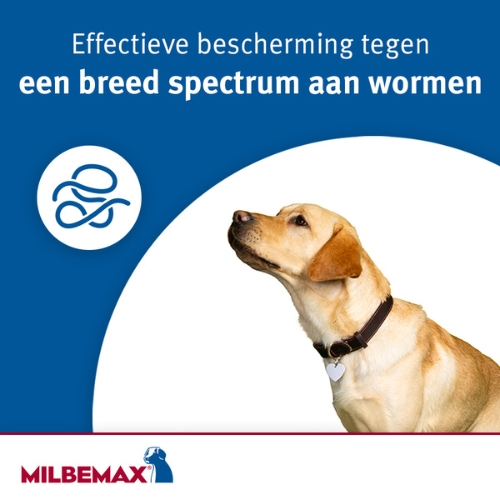 Milbemax Hond - Afbeelding 2
