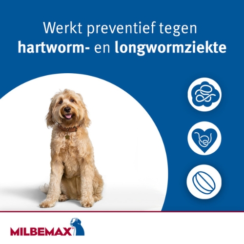 Milbemax Hond - Afbeelding 3