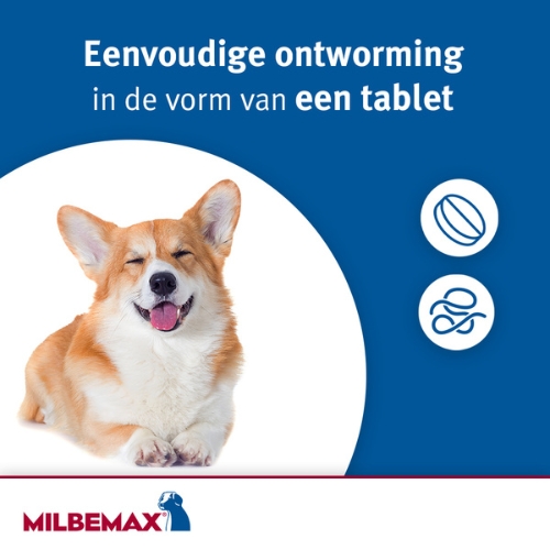 Milbemax Hond - Afbeelding 4