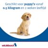 Milbemax Hond - Afbeelding 5