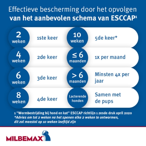 Milbemax Hond - Afbeelding 6