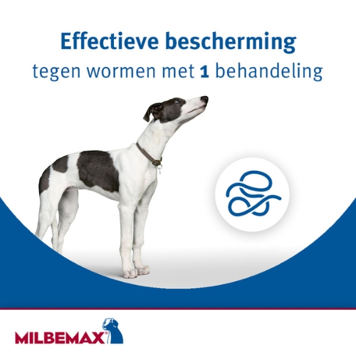 Milbemax Kauwtablet - Afbeelding 2